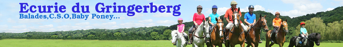 Ecurie du Gringerberg